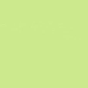 Meet your Posher, Audrey